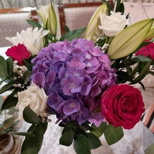 Meet your Posher, Tammy